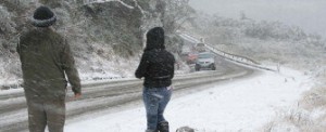 Neve